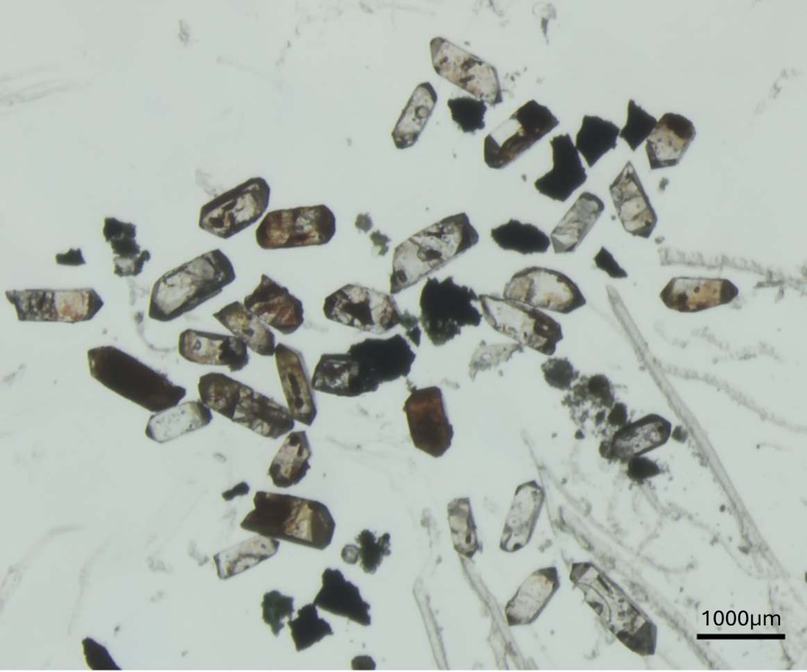 Zircon separate under the microscope